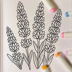 drawing of lavender flowers 